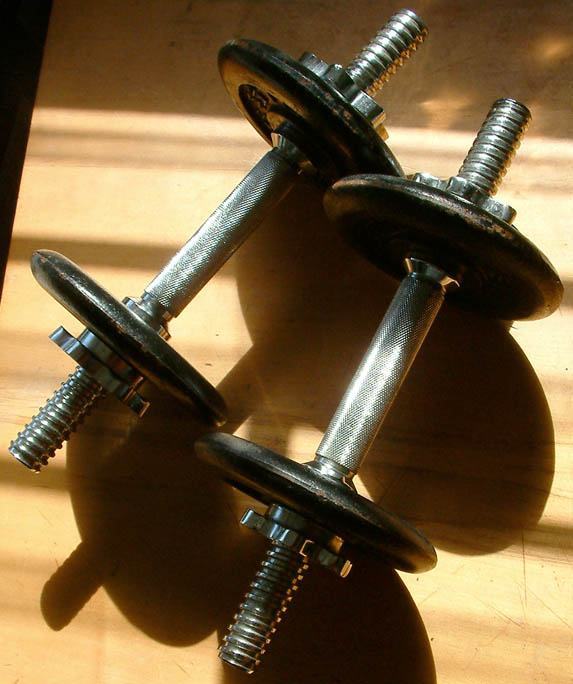 SEO for Fitness Brands
